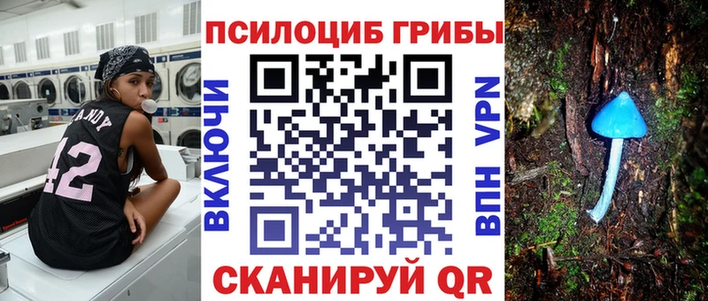 Купить где  Шиханы  Галлюциногенные грибы GOLDEN TEACHER 